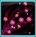 ?????????????????????