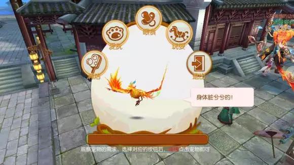  ???????????????-???????淨(jìng)???