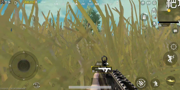 ????????????vs??????? ????????